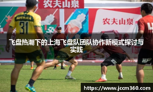 飞盘热潮下的上海飞盘队团队协作新模式探讨与实践